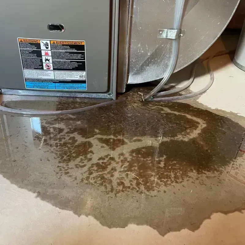 Appliance Leak Cleanup in Grantville, GA